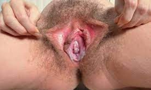 Creamy Pussy