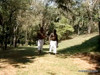 Pratinjau video