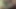 Hintli 18+ kız arkadaş oral seks emiyor ve ağzına boşalıyor