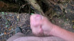 Pratinjau video