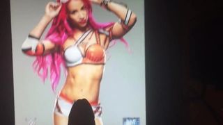 WWE Diva Sasha Banks hołd 01
