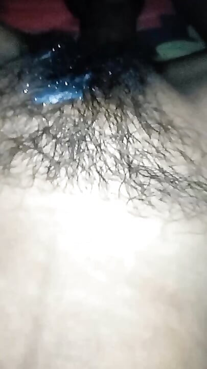 Album Collection 2025