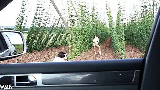 In der tschechischen Landwirtschaft