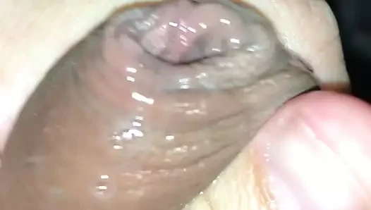 tombul ayı fapping