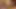 Kurvige Brunette saugt Schwanz hart und gibt Tittenfick