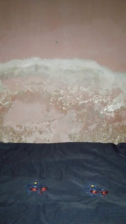 Foder na Cama Só Dá Prazer