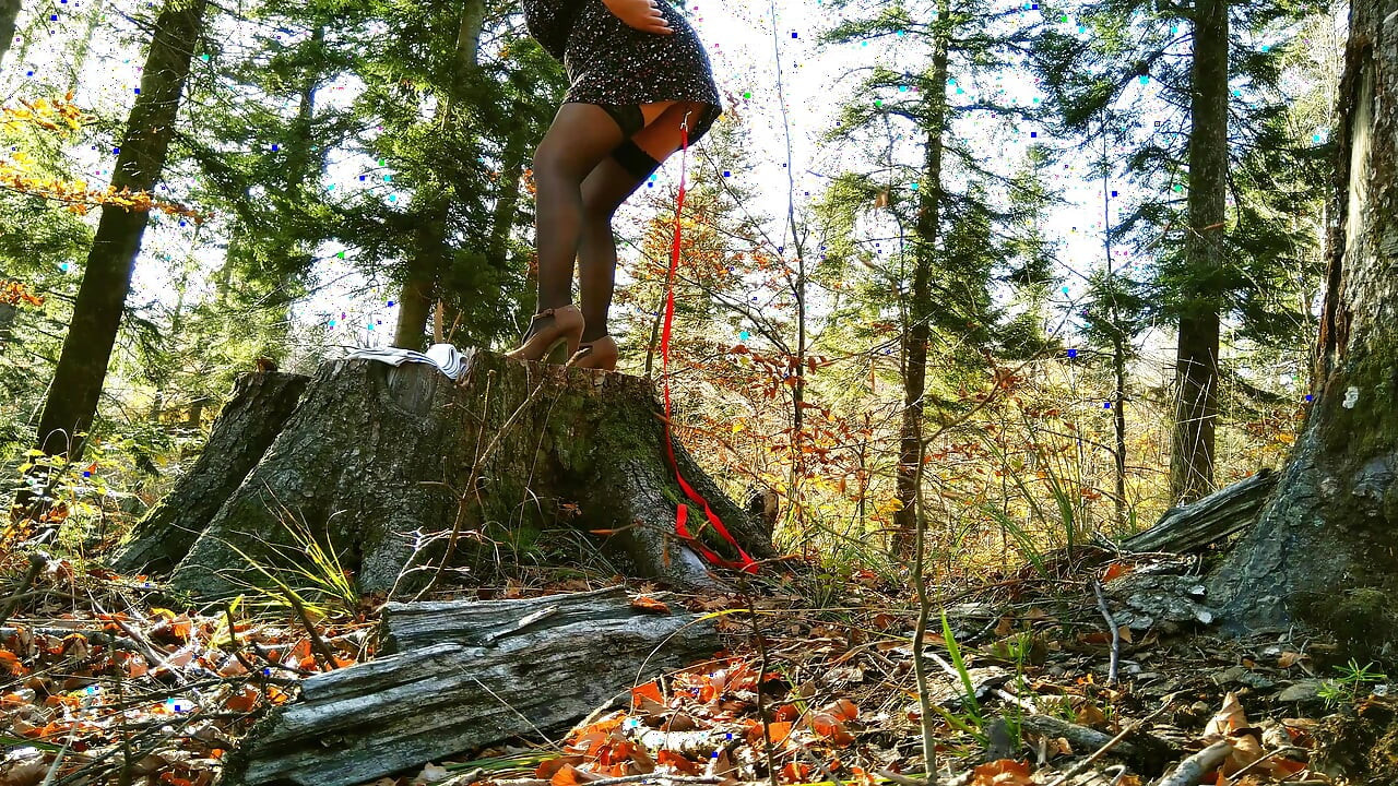 My Stepmom in the Middle of the Woods