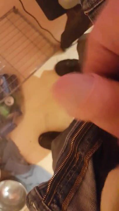 my cock