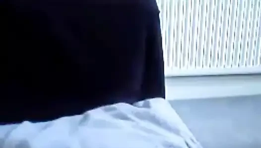 Sıcak büyük ayı 31018