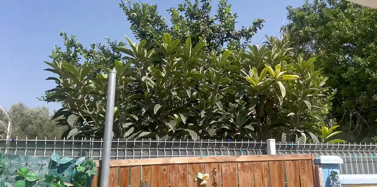 Fucking quietly in the patio, risking being seen and heard by the neighbors