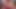 BBW Granny Sucks Her Huge Boobs