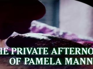 (trailer) de privé -middagen van Pamela Mann (1974) - mkx