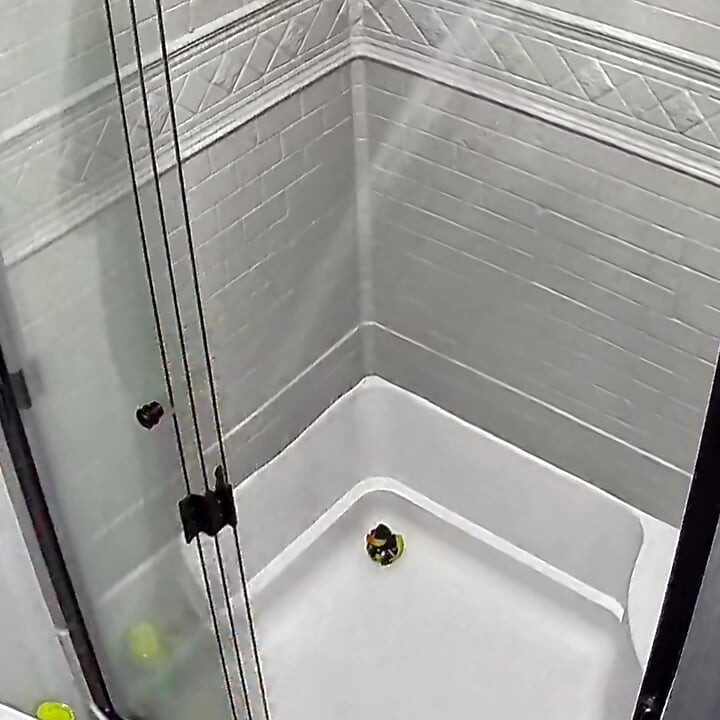 Watch me shower off,  after multiple orgasms.