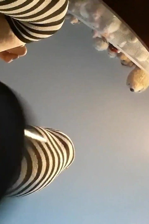 Princess Udders 2019 Cumpilation (wide)