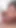 Büyük götlü latin Rose Monroe ve Valerie Kay havuz kenarında büyük yarak jmac'ı sikiyor