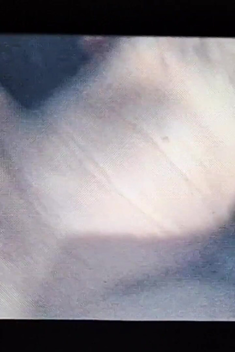 Keeps on Licking