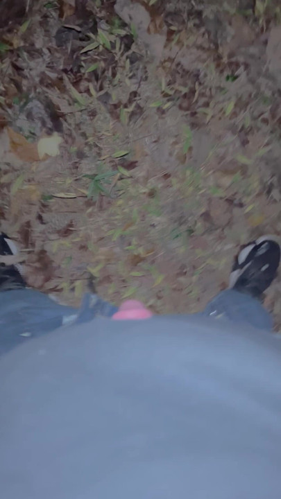 Little outdoor quickie