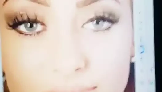 Bec