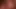 Silver Fox: Oiled Neko POV Tease