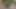 Horny and lonely gay boy masturbating for u in front of the