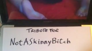 Tribute for NotASkinnyBitch