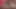Bbw busty adım anne altında house arrest sikikleri siyah horoz