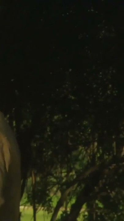 Der Cowboy mit dem harten Lasso | Clip 1