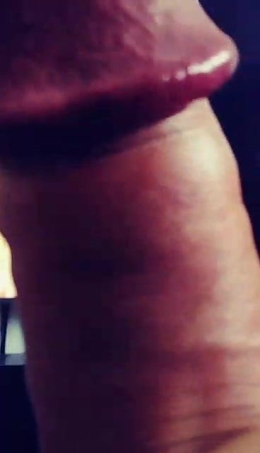 Holly Tribute 9