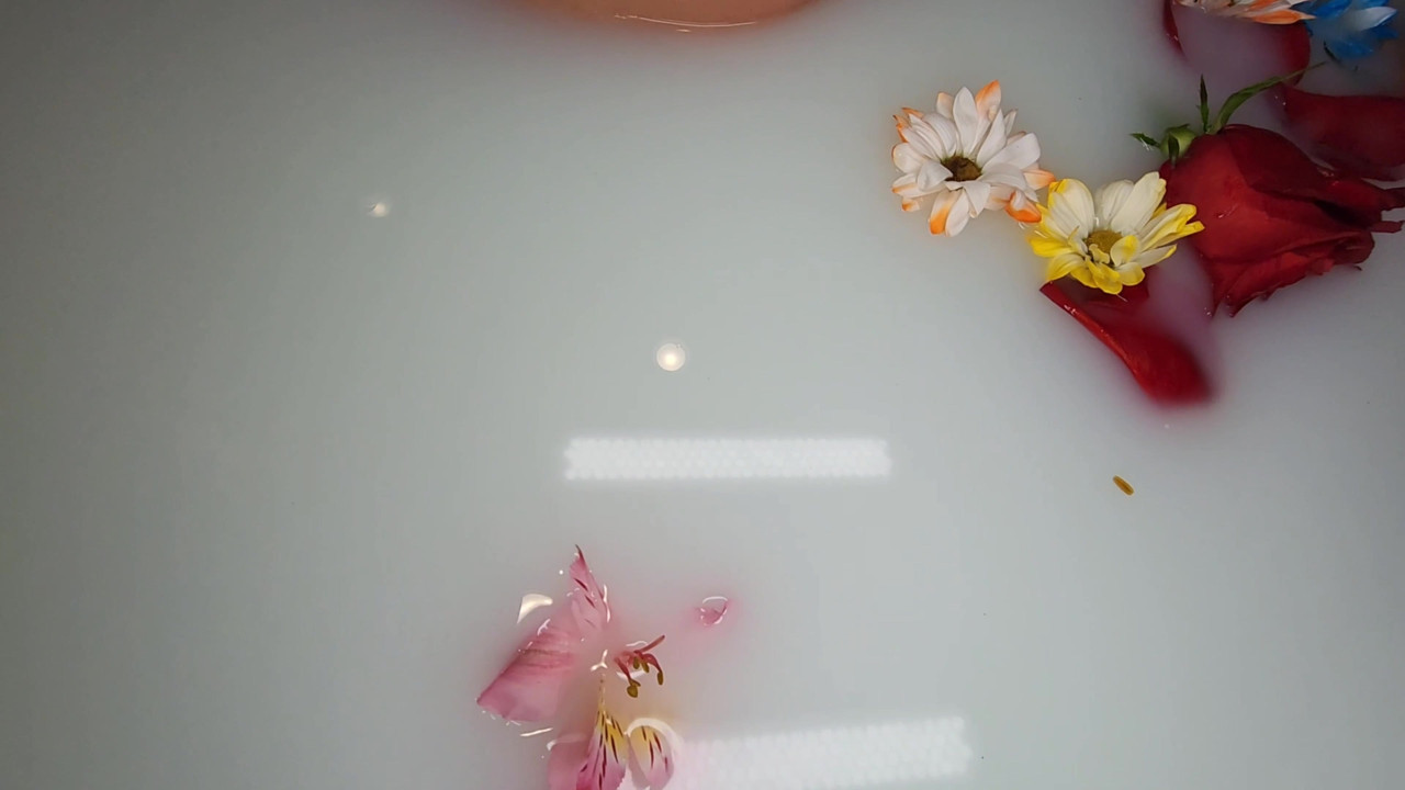Hotwife Lexi Love Behind the Scenes Milk Bath Photo Shoot!