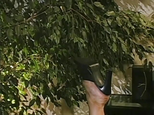 Pizdă vintage bătrână și tânără futând o pulă mare și sex în trei