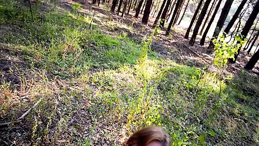 Я соблазнил своего сводного братца, и он уничтожил мою задницу в середине дороги