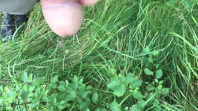 Natursekt