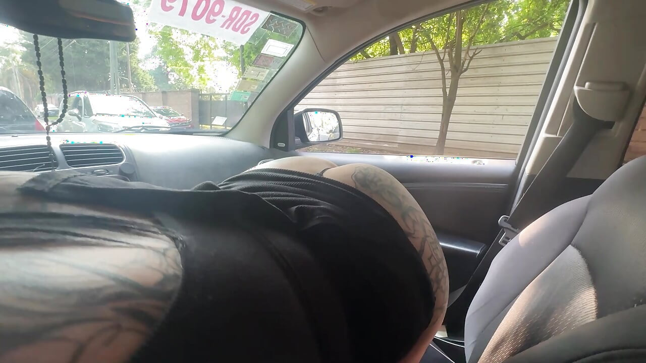 Oral Sex in the Car, They Roll Down the Windows so Everyone Can See Me Sucking It