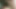 Cumshot and Oral Creampie! I Keep Sucking and Get 2 Loads