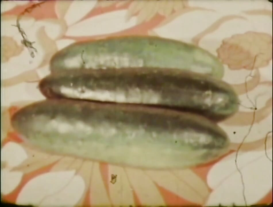 Slatka mlada vintage djevojka uzima veliki kurac