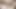 D1 لاعب كرة السلة جوك ينيك لاتينية ساخنة تدخن في السكن الجامعي