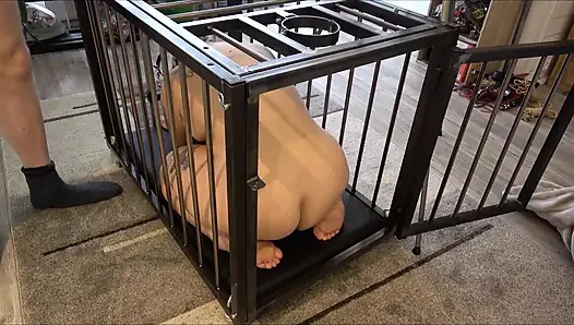 Yes, Master, I'm Yours