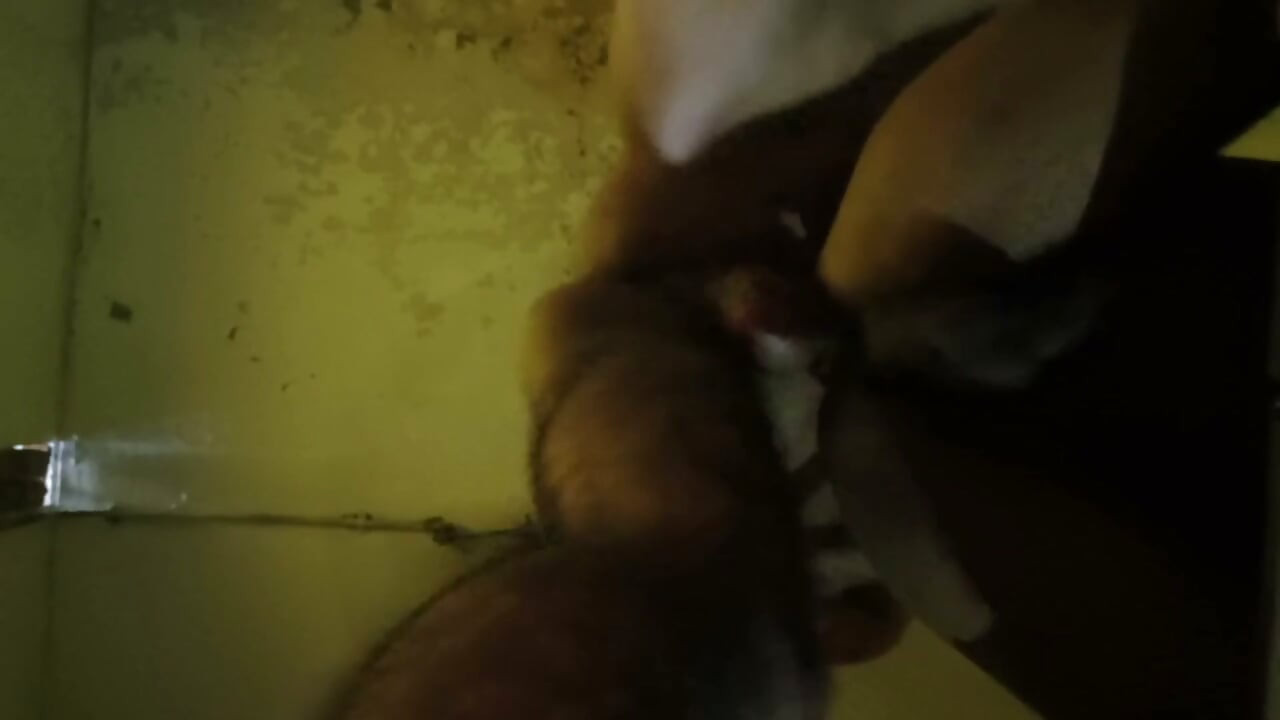 White Bra Femboy Enjoys Doggy Sex