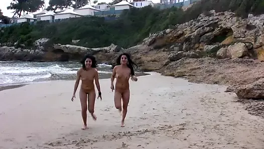 Two amazing German girls sharing a hard rod on the beach