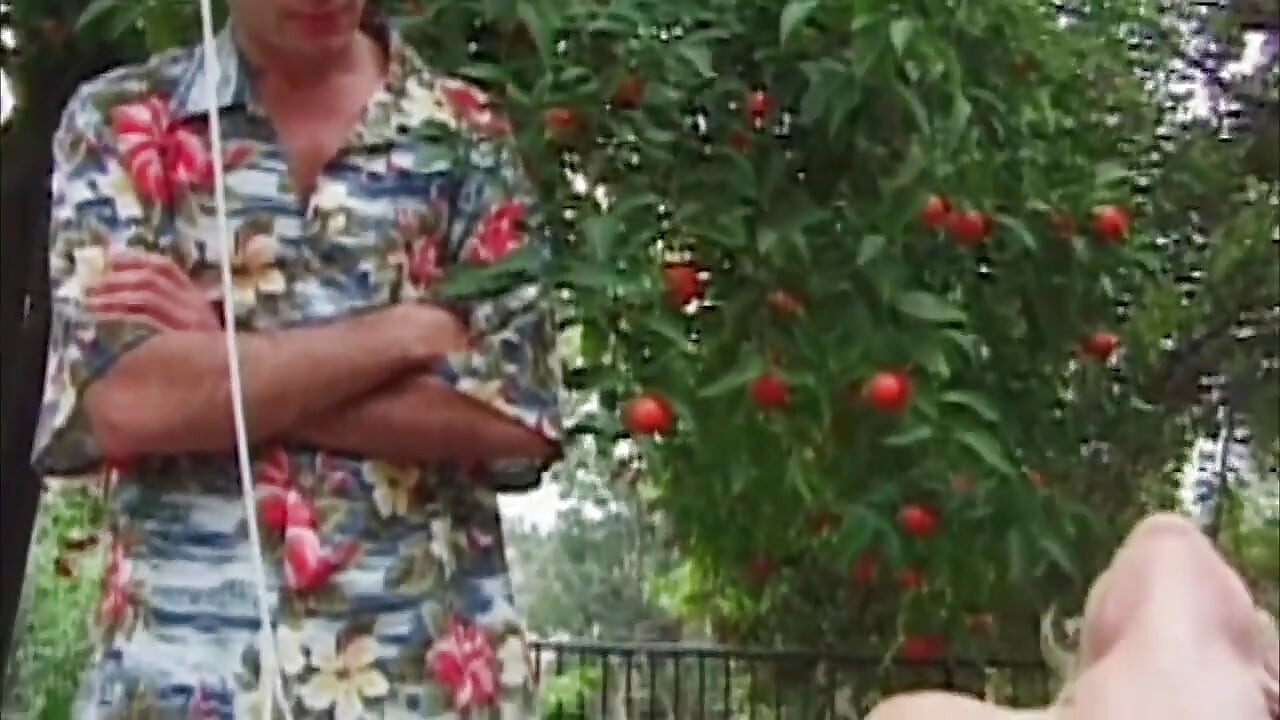 丰满的金发熟女崇拜他勃动的鸡巴
