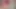 Striptease und muschi ficken in nahaufnahme. upSkirts ficken