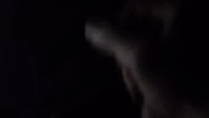 bana dokunmadan benim horoz