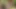 ScoutBoys Hot hung Scoutmaster Ace Banner raw fucks cute twink hard