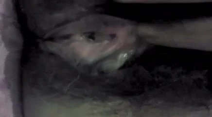 Mi otro peludo coño gf