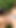 Epic moment from "Sizzling hot lesbian teens take advantage of the garden to make out and eat pussy"