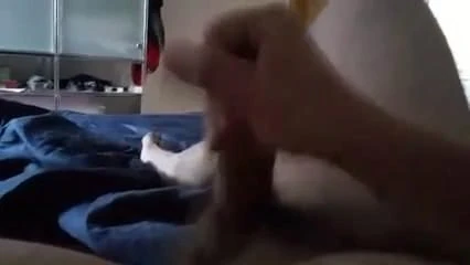 Daily wanking 1-2