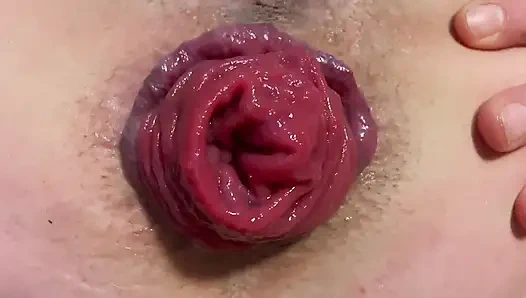 Ass Spread Close up Prolapse and Feet Show in White Nylons