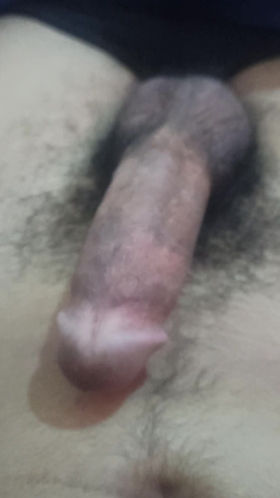 Moroccan dick