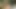 I have a hard, rich fuck with my horny Latina stepsister after we get lost in the middle of the woods.