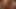 (4K) AI 3Dアニメーション - ホットなラティーナ 異人種間フェラチオ&射精(AI Visuals X)